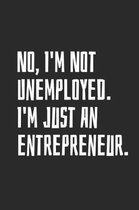 No, I'm Not Unemployed. I'm Just An Entrepreneur