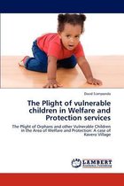 The Plight of Vulnerable Children in Welfare and Protection Services