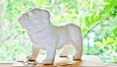 Guard Dog Money Box