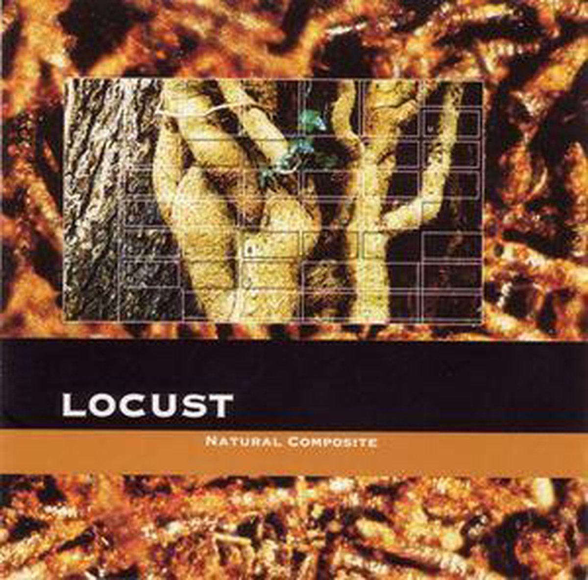 Locust - Natural Composite - Locust - Natural Composite