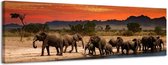 Olifanten - Canvas Schilderij Panorama 118 x 36 cm
