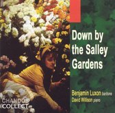Down by the Salley Gardens / Benjamin Luxon, David Willison