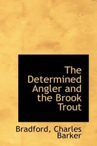 The Determined Angler and the Brook Trout