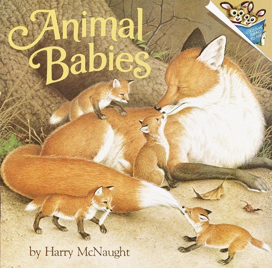 Pictureback - Animal Babies - cover