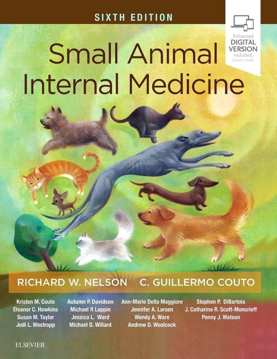 Small Animal Internal Medicine - cover