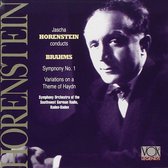 Horenstein Dirigiert Brahms