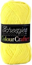 Scheepjes Colour Crafter Leerdam 1263. PAK MET 9 BOLLEN a 100 GRAM. KL.NUM. 3618.