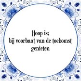 Tegeltje met Spreuk (Tegeltjeswijsheid): Hoop is; bij voorbaat van de toekomst genieten + Kado verpakking & Plakhanger