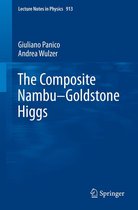 Lecture Notes in Physics 913 - The Composite Nambu-Goldstone Higgs