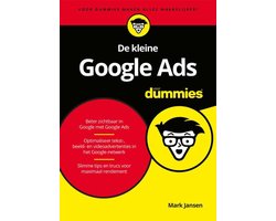 De kleine Google Ads voor Dummies