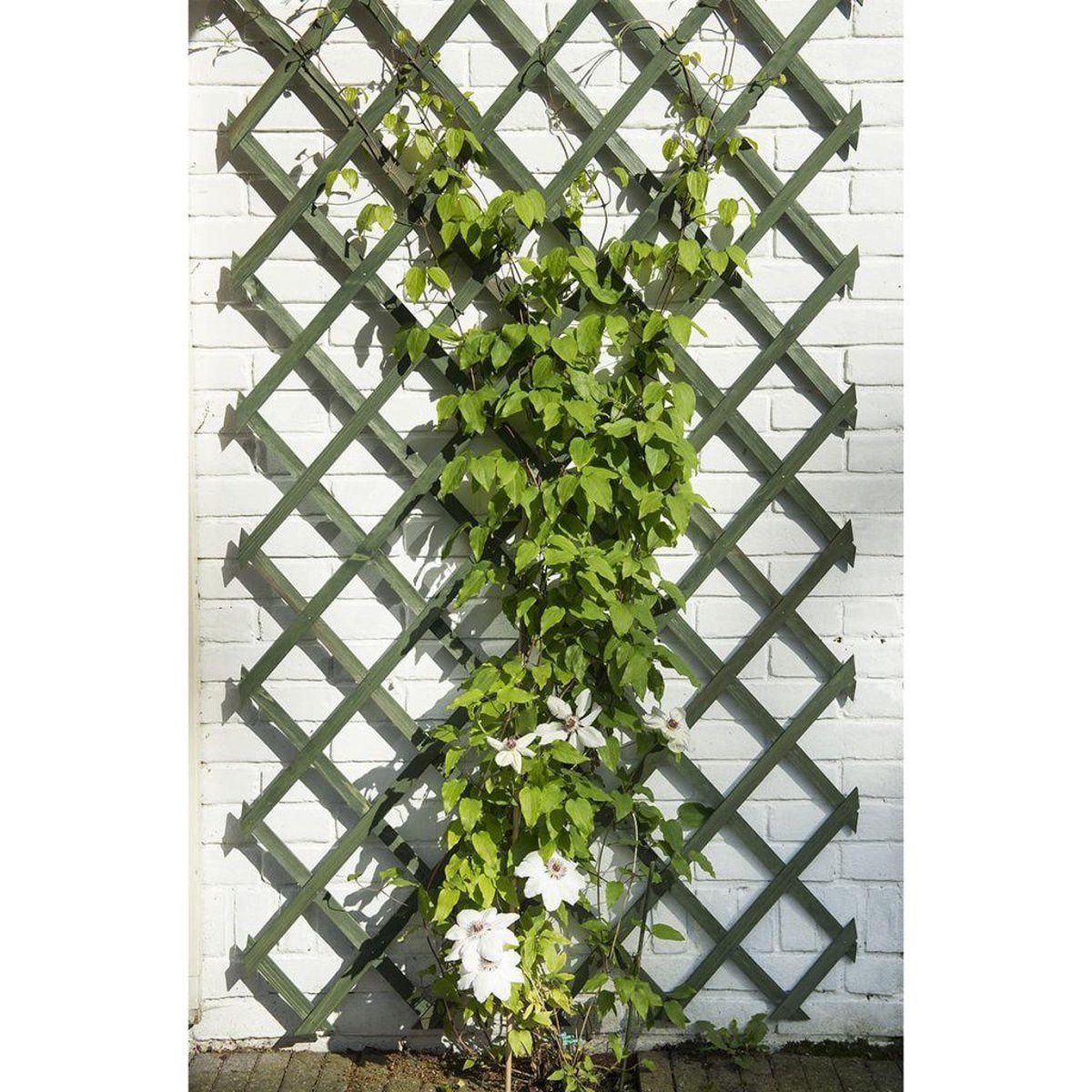Nature - Houten Klimrek 150 x 50cm - Klim-En Geleide Artikel - Groen — afbeelding 6