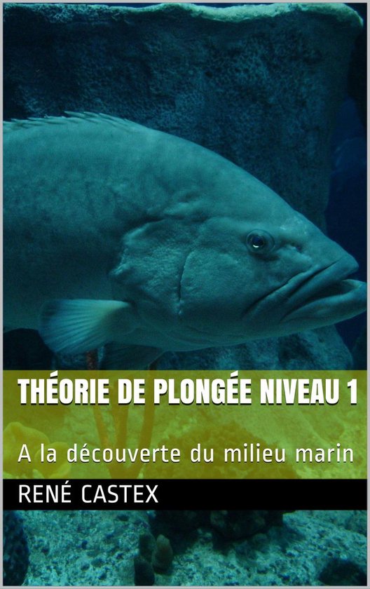 PLONGÉE NIVEAU 1 - cover