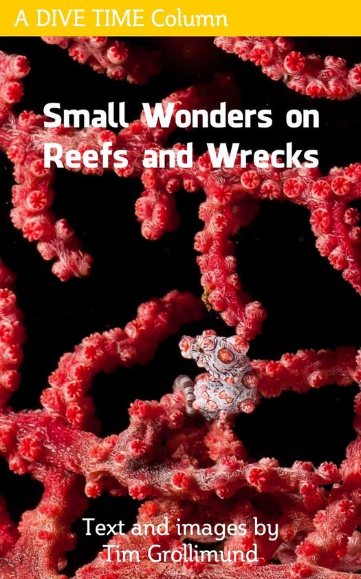 Small Wonders on Reefs and Wrecks - cover