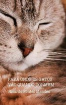 Para Onde Os Gatos Vao Quando Dormem