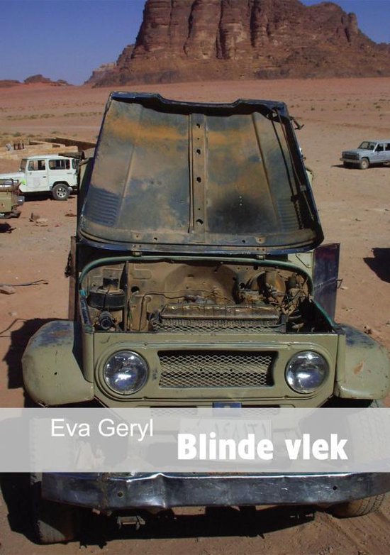 Cover van het boek 'Blinde vlek' van Eva Geryl