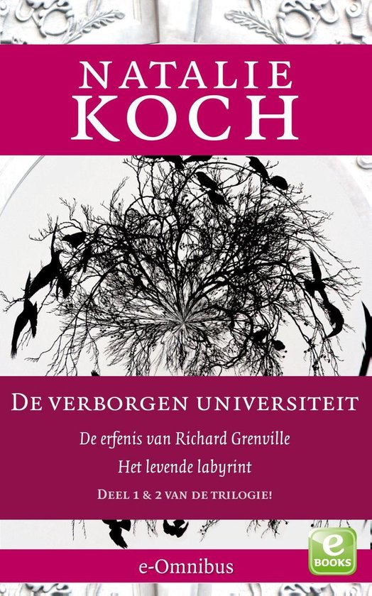 Foto: De verborgen universiteit 1 2 de erfenis van richard grenville het levende labyrint