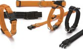 Nylon halsband Aventura - Oranje - Reflecterend stiksel