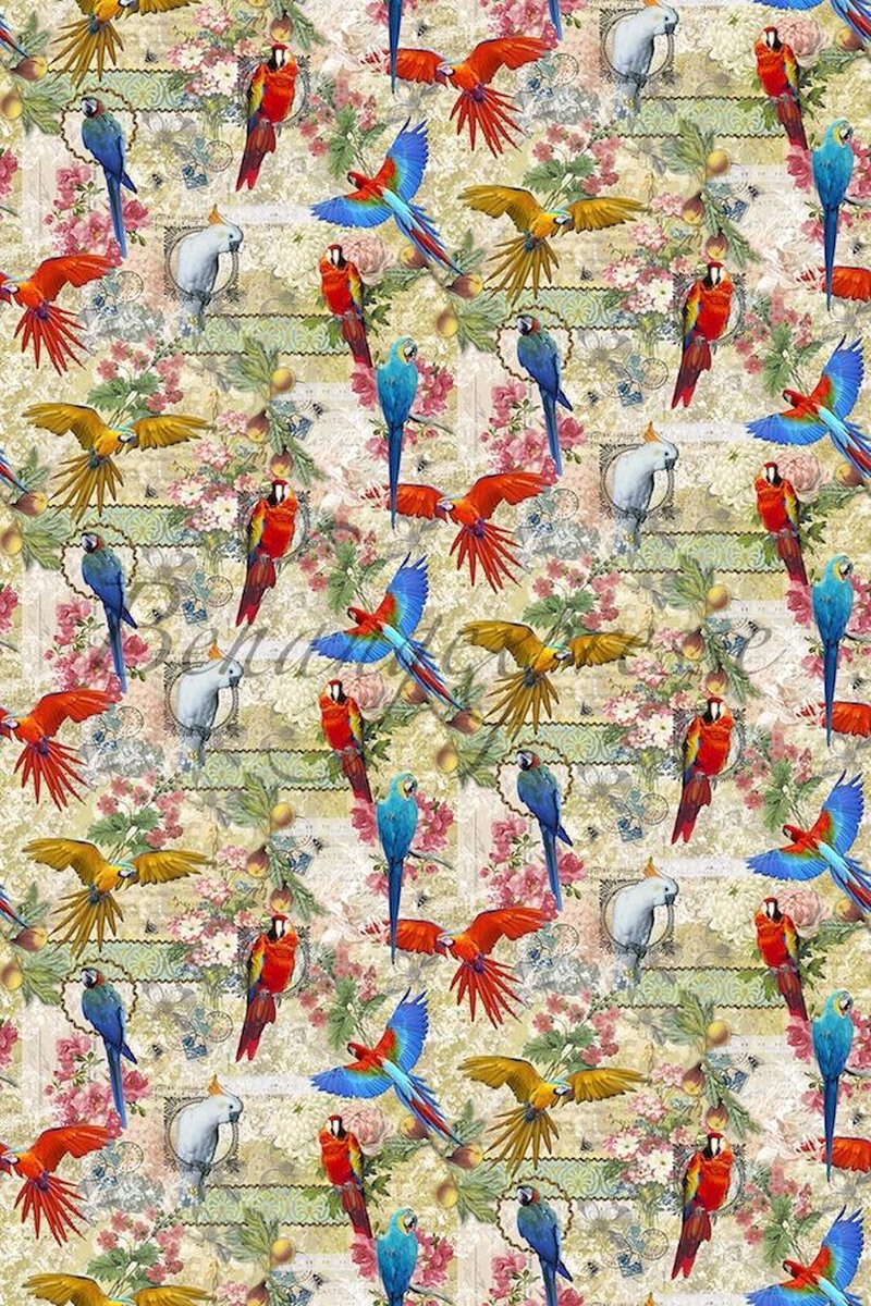 Parroty Behang