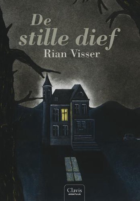 Cover van het boek 'De stille dief' van R. Visser