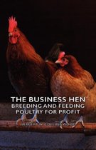 The Business Hen; Breeding And Feeding Poultry For Profit