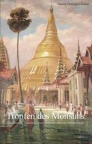 Tropfen Des Monsuns