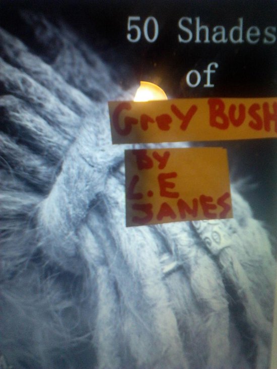 Fifty Shades of Grey Bush - cover