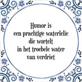 Tegeltje met Spreuk (Tegeltjeswijsheid): Humor is een prachtige waterlelie die wortelt in het troebele water van verdriet + Kado verpakking & Plakhanger