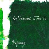 Ken Vandermark & Terrie Ex - Scaffolding (LP)