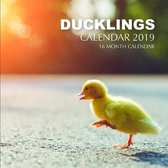 Ducklings Calendar 2019