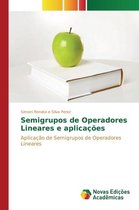 Semigrupos de Operadores Lineares e aplicações