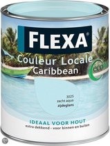 Flexa Local Color Gloss à base d'eau Caraïbes 0 75 L 3025 Aqua douce