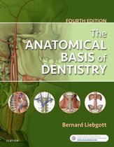The Anatomical Basis of Dentistry - E-Book