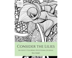 Bible & Art, Book- Consider the Lilies