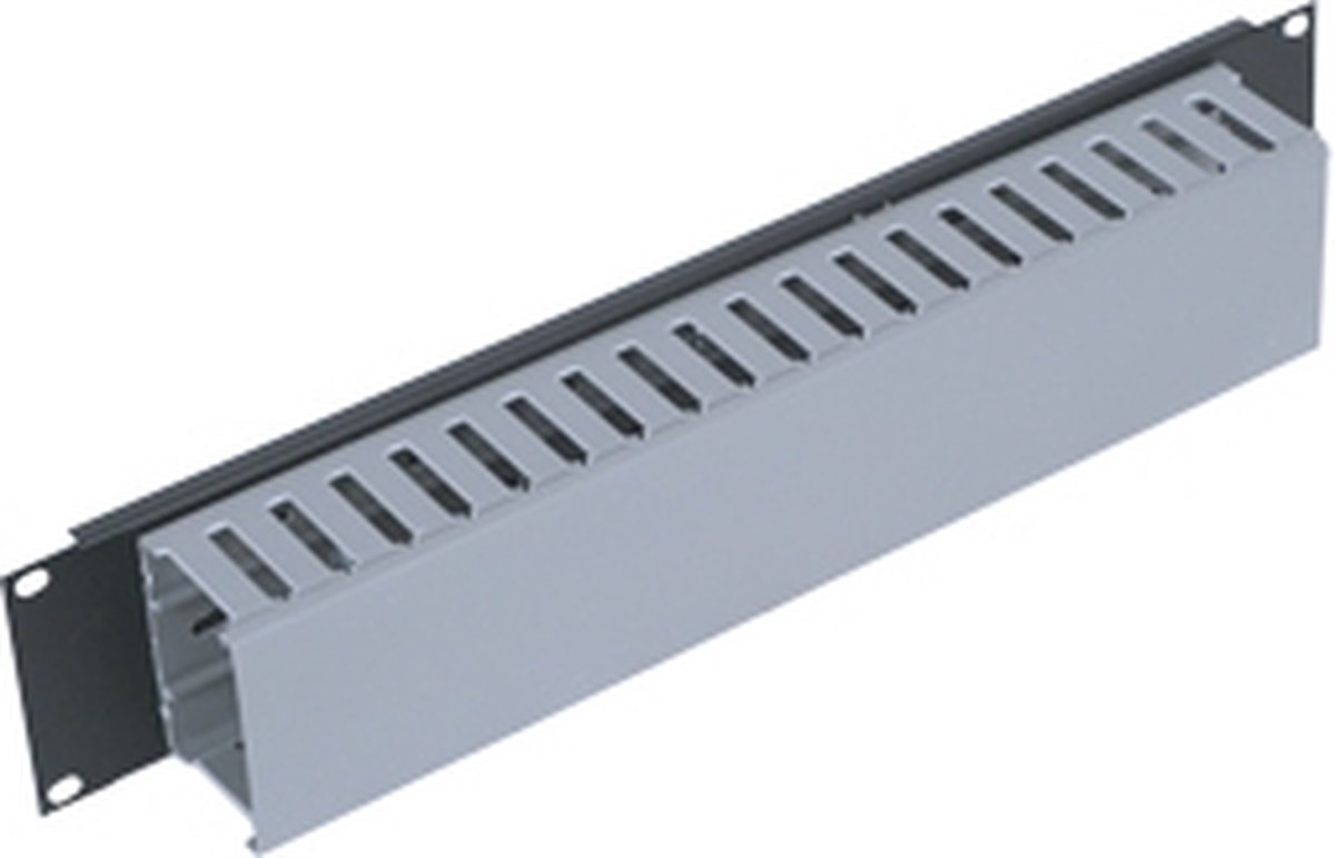 Triton 19" panel 2U with cable trunking