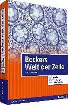 Beckers Welt der Zelle