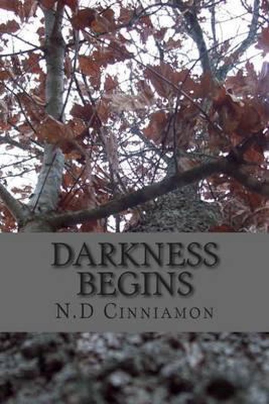 Darkness Begins