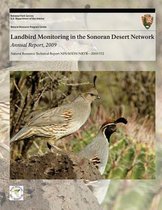 Landbird Monitoring in the Sonoran Desert Network