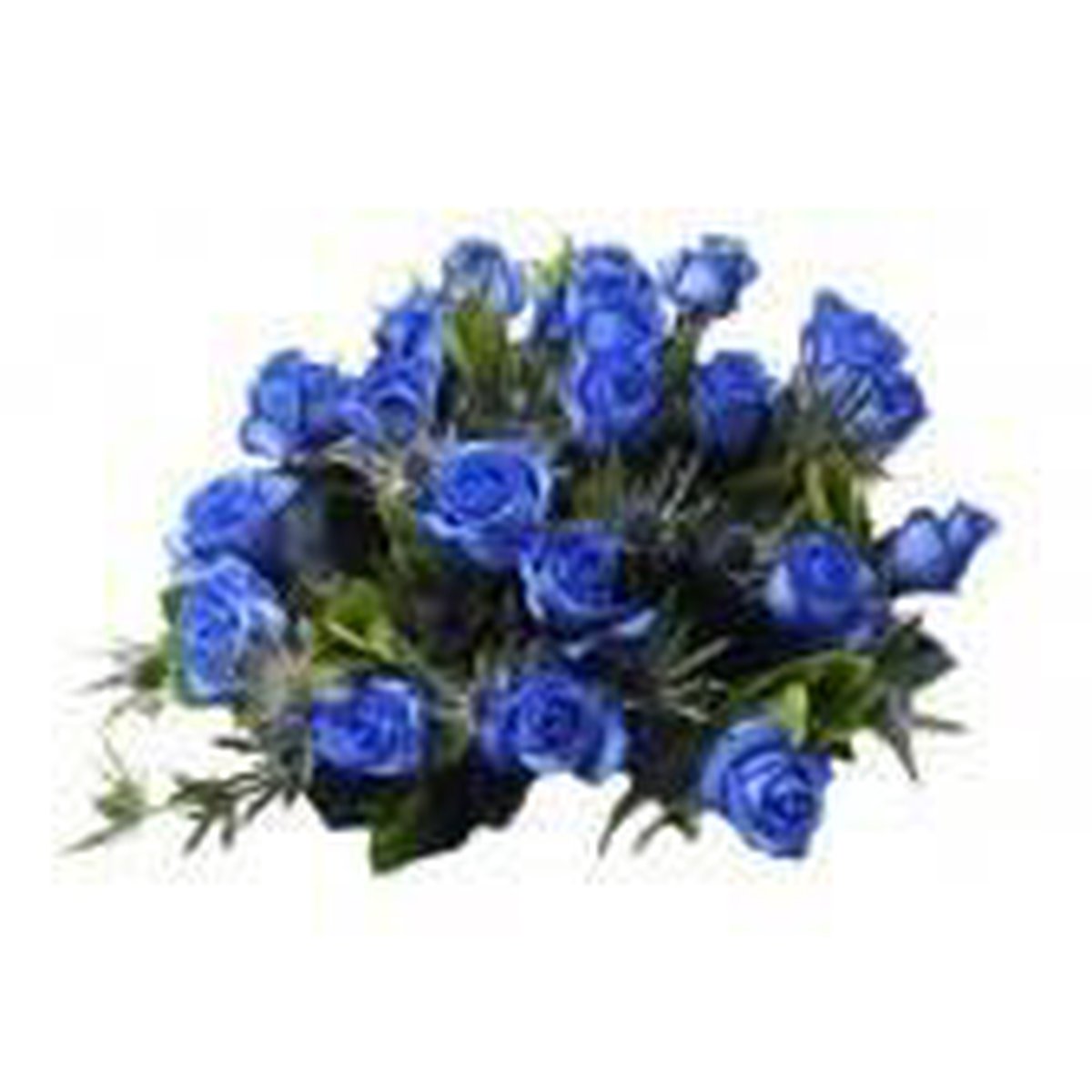 Welp bol.com | Boeket 10 blauwe rozen DB-73