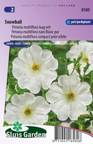 Sluis Garden - Petunia Snowball