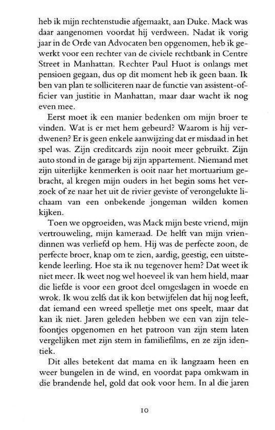 Cover van het boek 'De verdwenen broer'