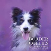 Border Collies Calendar 2019