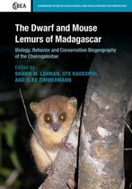 Dwarf & Mouse Lemurs Of Madagascar
