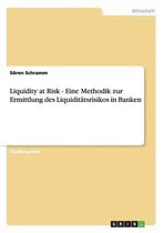 Liquidity at Risk - Eine Methodik zur Ermittlung des Liquiditätsrisikos in Banken