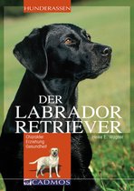Hunderassen - Labrador Retriever