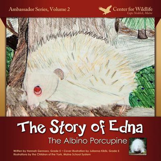 Ambassador-The Story of Edna - cover