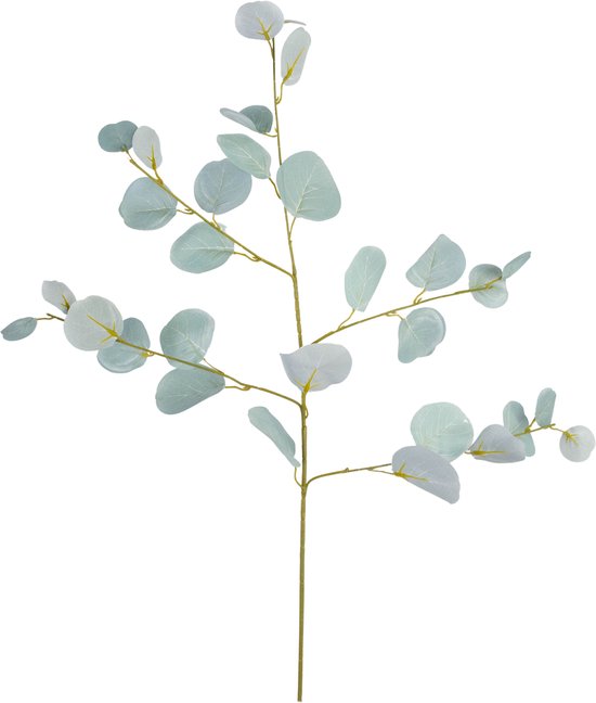 Greenmoods Kunstplanten - Kunstplant - Kunsttak - Eucalyptus - Zijde - 84 cm