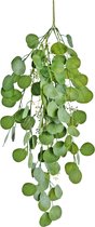 Greenmoods Kunstplanten - Kunstplant - Hangplant - Eucalyptus - 73 cm