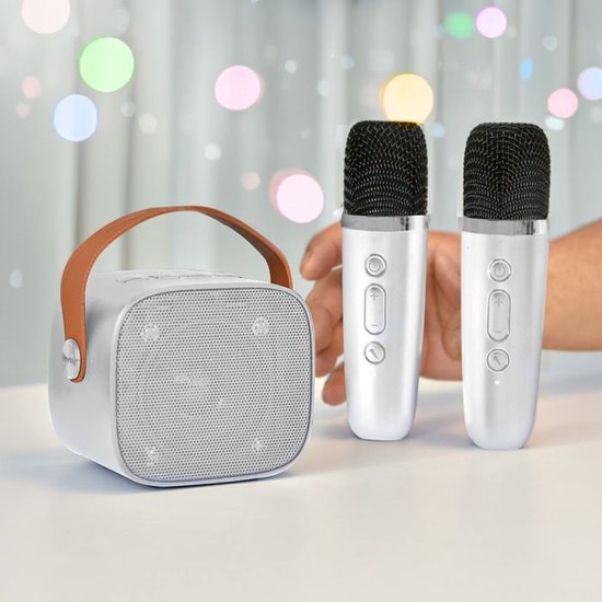 Karaoke 2 Go Set