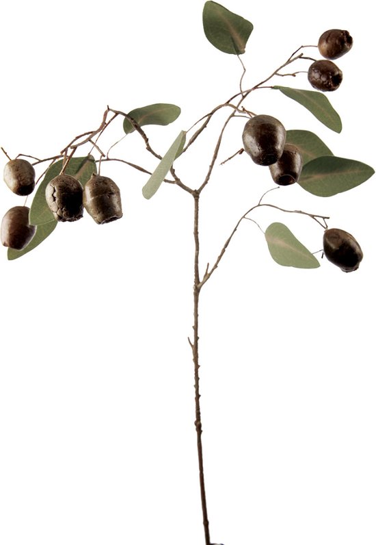 Kunstmatig eucalyptusblad met bruine zaden H71