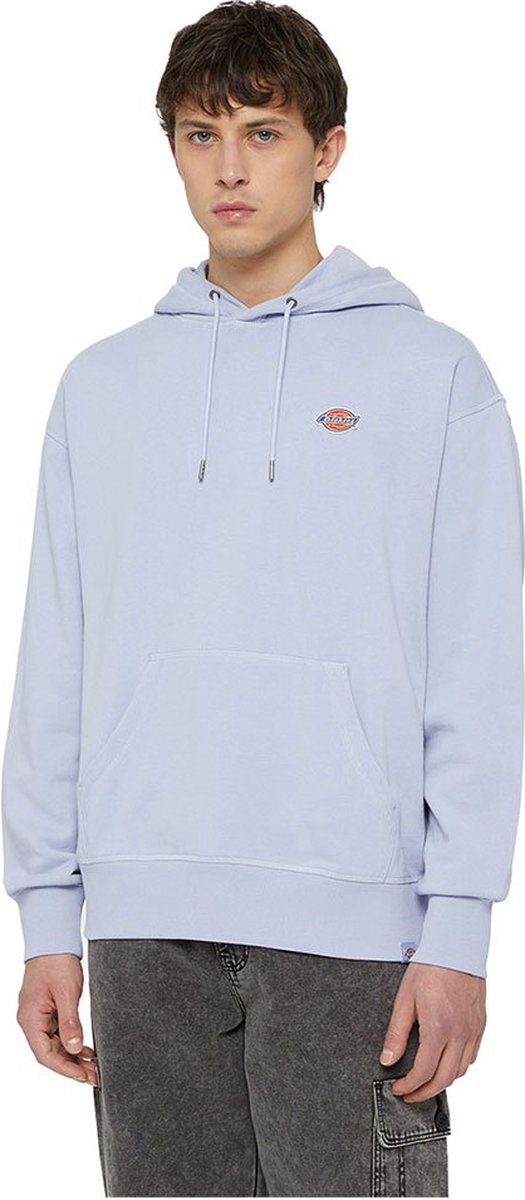 Dickies Millersburg Hoodie 2XL Man Cosmic Sky